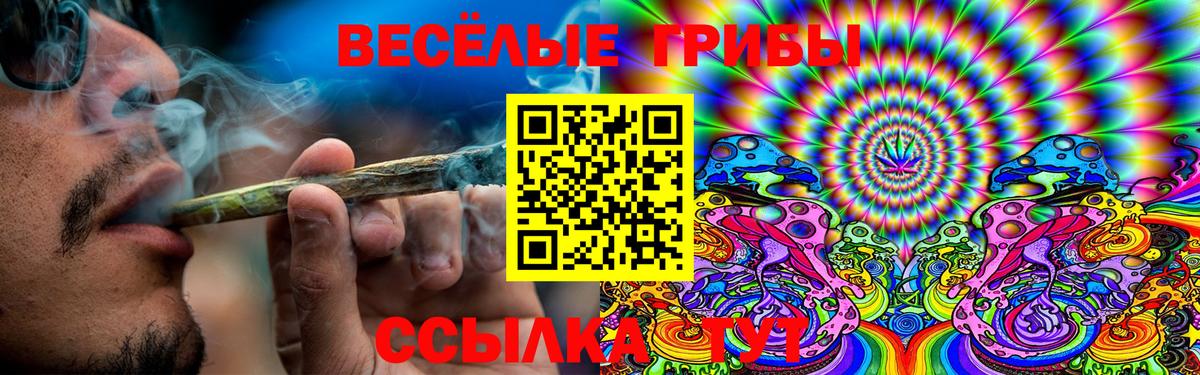 наркота  Галлюциногенные грибы Magic Shrooms  Вход с VPN  Богородск 